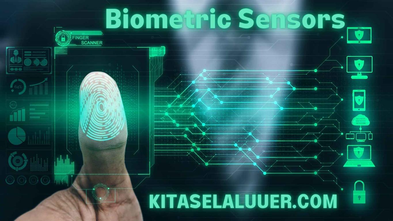 Biometric Sensors The Future of Identification and Security